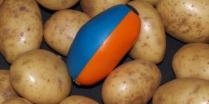 Aardappel Sorteren Reinigen Aardappel Sorteren Reinigen