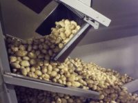 Logistiek Aardappels Sorteren Machine Installatie